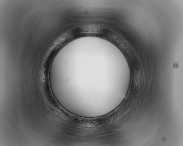 X0000098000731200804071217