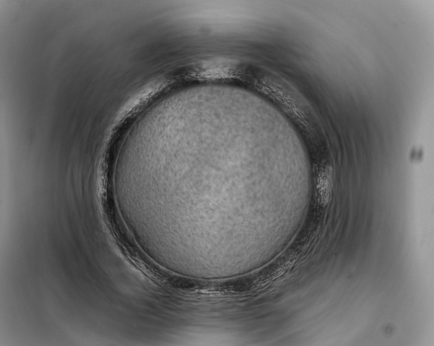 X0000098000732200804071217