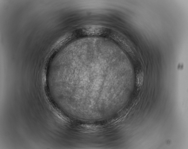 X0000098000733200804071217