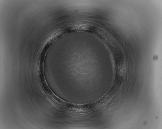 X0000098000735200804071217