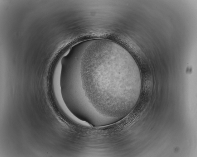 X0000098000736200804071217