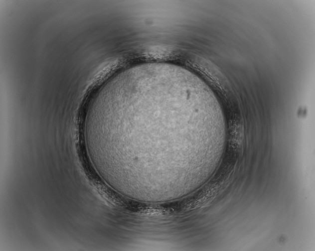 X0000098000738200804071217