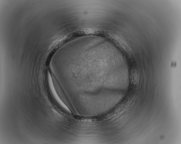 X0000098000740200804071217