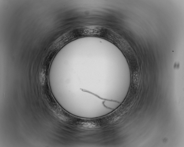 X0000098000741200804071217