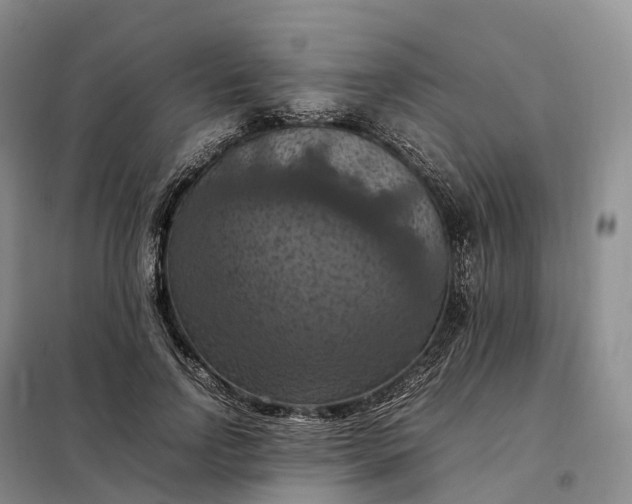 X0000098000742200804071217