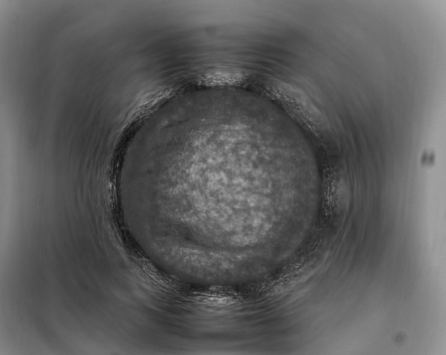 X0000098000743200804071217