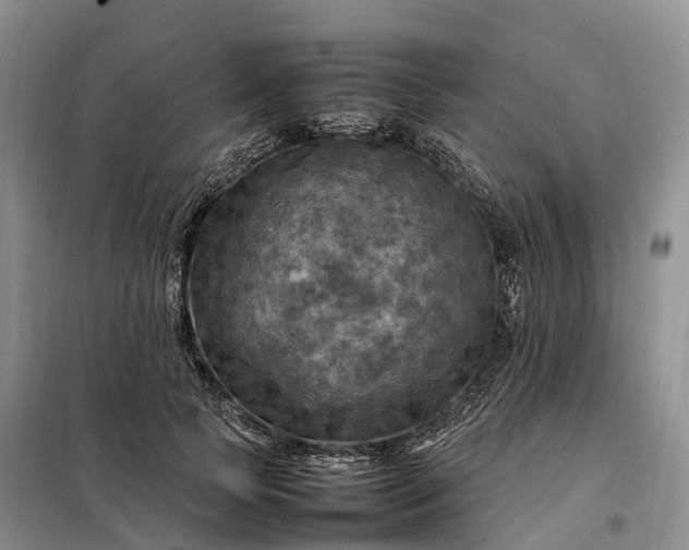 X0000098000745200804071217