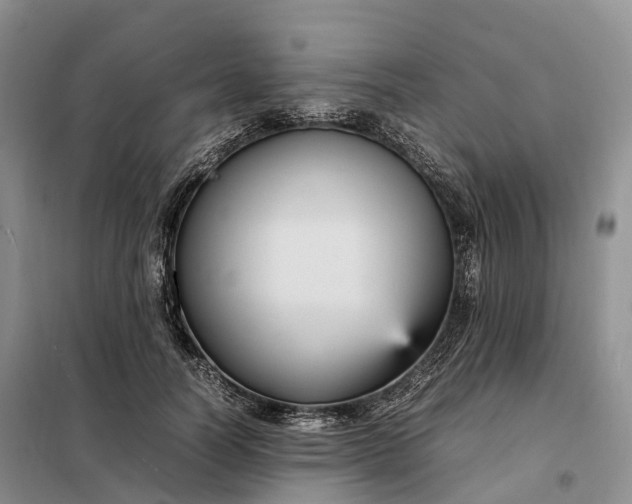 X0000098000746200804071217
