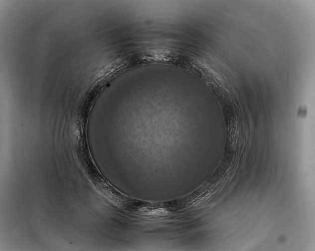 X0000098000747200804071217