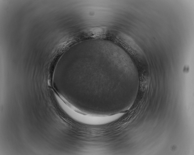 X0000098000748200804071217