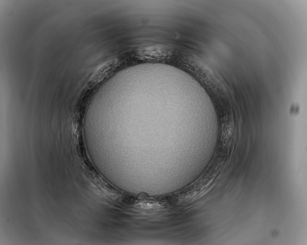 X0000098000749200804071217