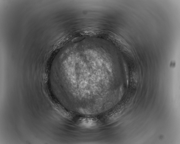 X0000098000751200804071217