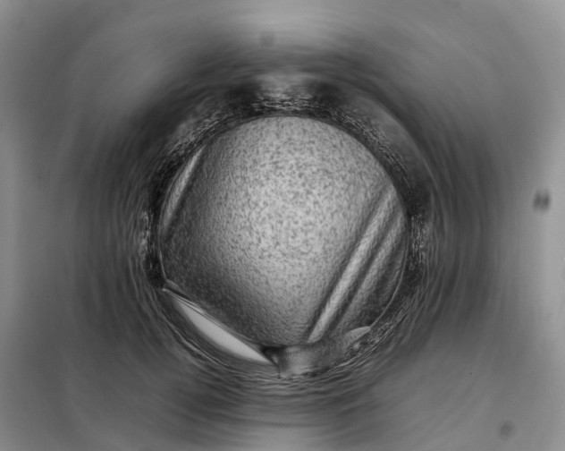 X0000098000752200804071217