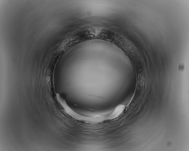 X0000098000754200804071217