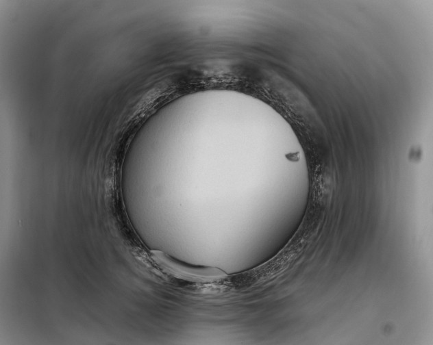 X0000098000756200804071217
