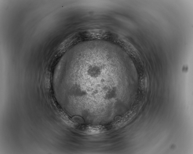 X0000098000757200804071217