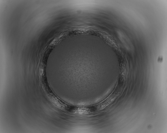 X0000098000758200804071217