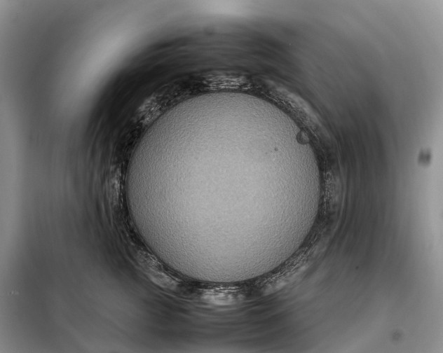 X0000098000761200804071218