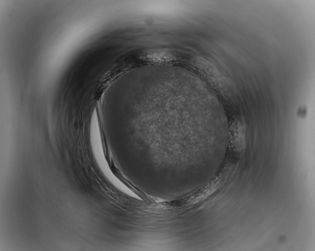 X0000098000762200804071218