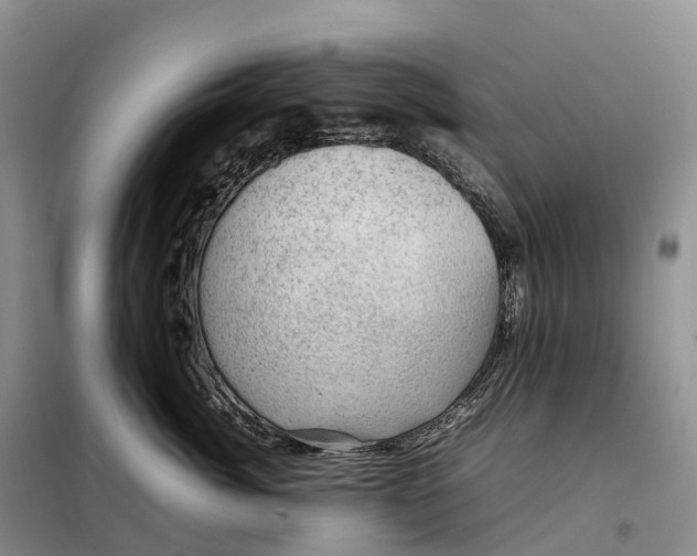 X0000098000764200804071218
