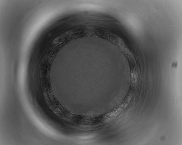 X0000098000765200804071218