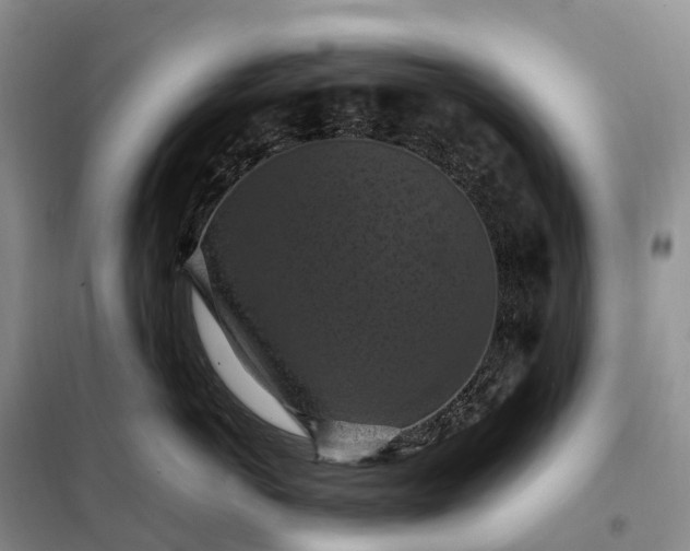 X0000098000766200804071218