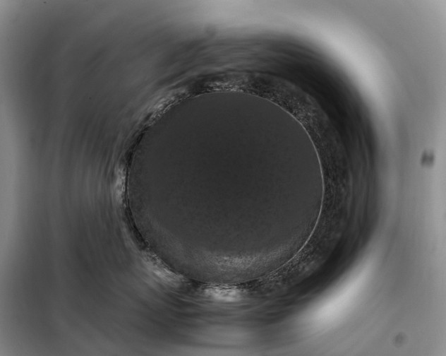 X0000098000767200804071218
