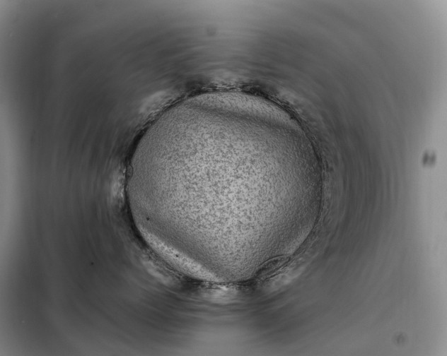 X0000098000768200804071218