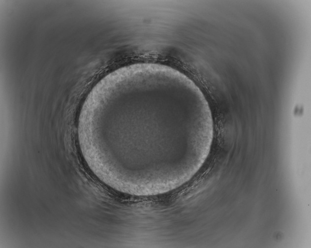 X0000098000769200804071217