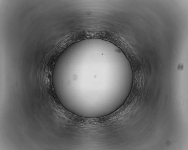 X0000098000770200804071217