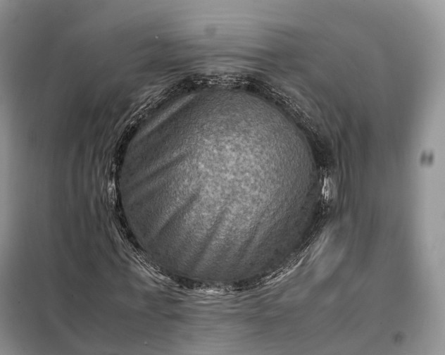 X0000098000771200804071217
