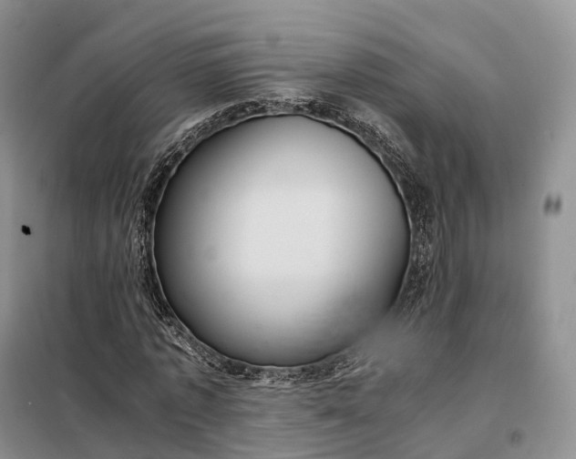 X0000098000773200804071217