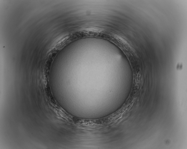X0000098000774200804071217