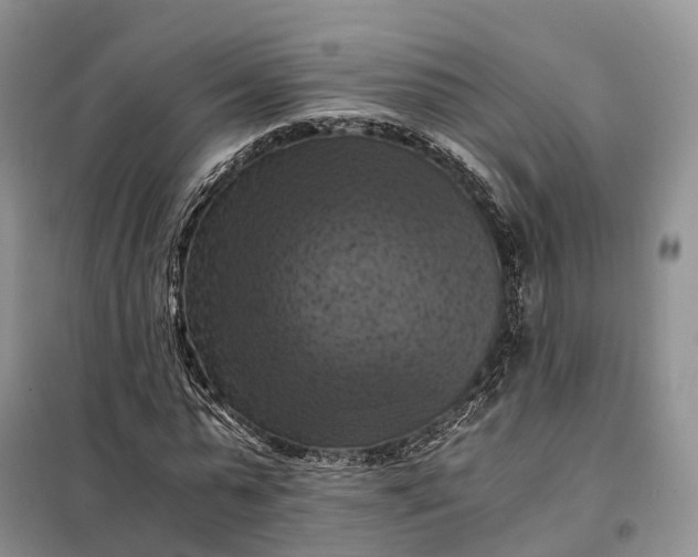 X0000098000775200804071217