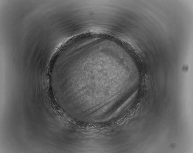 X0000098000776200804071217