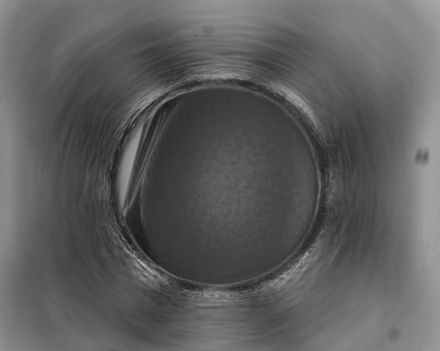 X0000098000777200804071217
