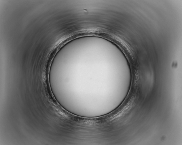 X0000098000778200804071217