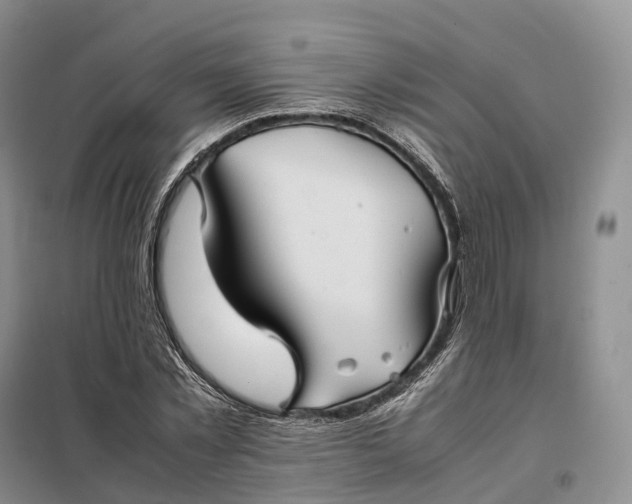 X0000098000781200804071217