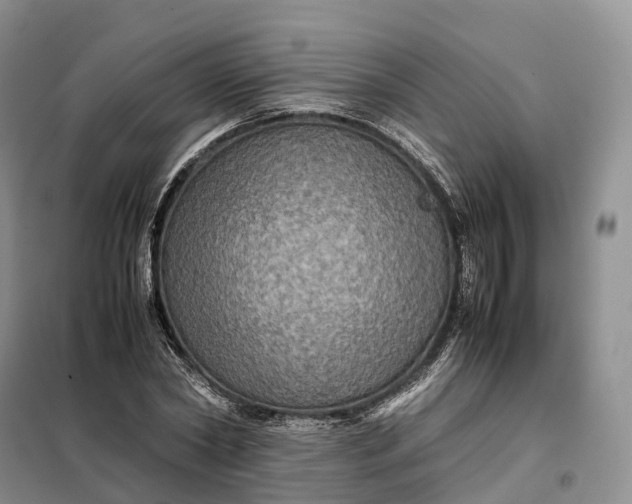 X0000098000782200804071217
