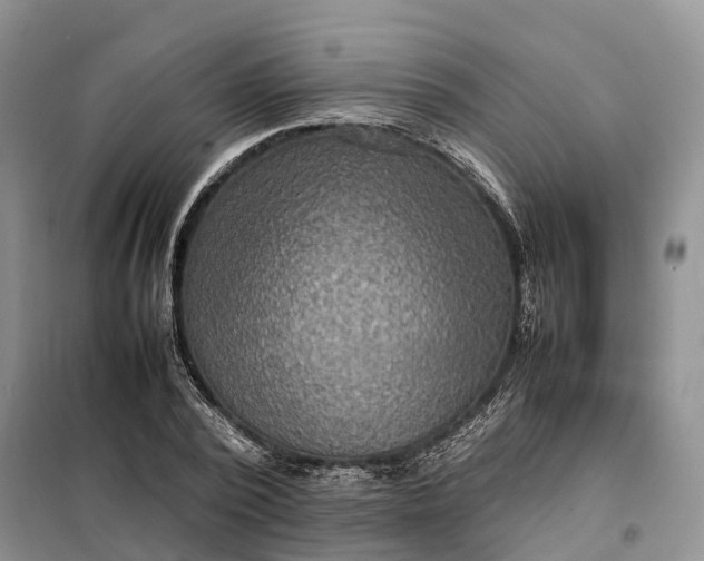 X0000098000784200804071217
