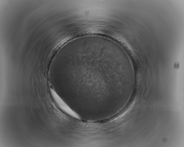 X0000098000785200804071217