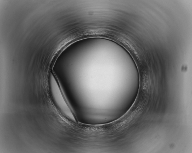 X0000098000786200804071217