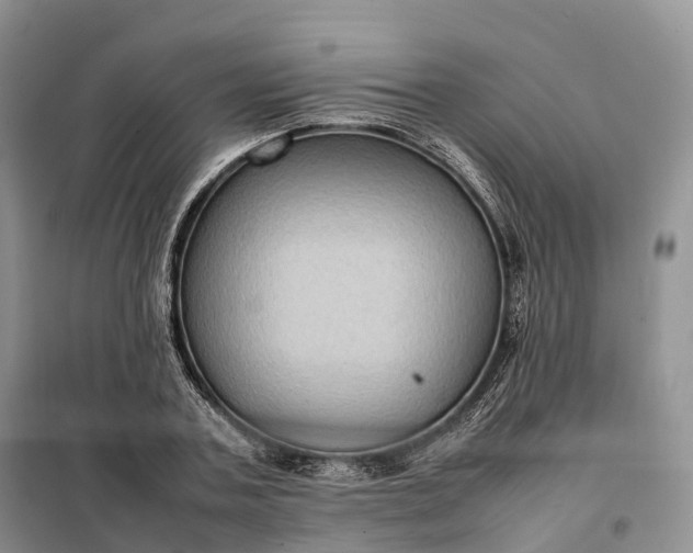 X0000098000787200804071217