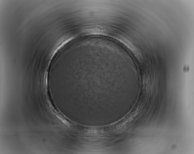 X0000098000790200804071216