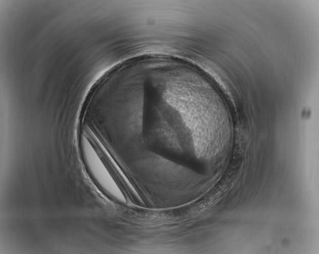 X0000098000791200804071216