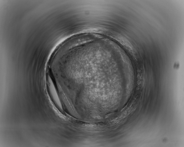 X0000098000792200804071216