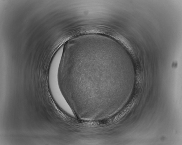 X0000098000793200804071216