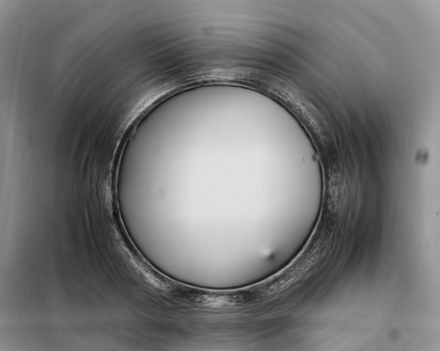 X0000098000794200804071216