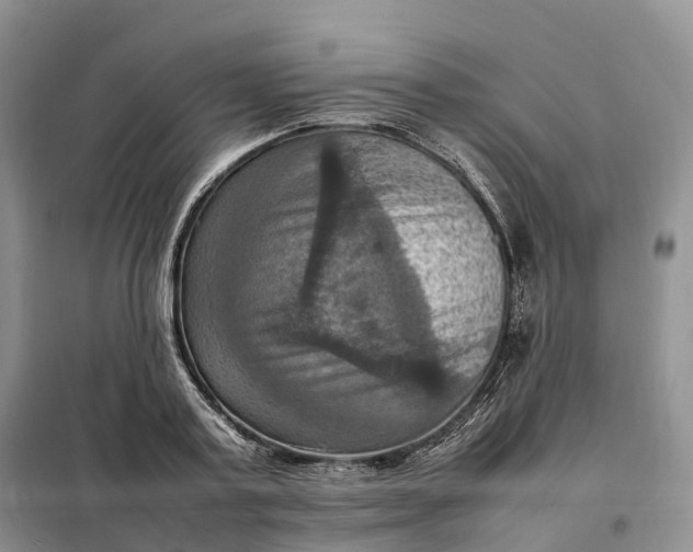 X0000098000795200804071216