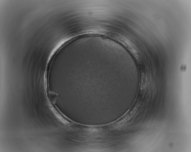 X0000098000796200804071216